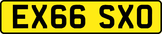 EX66SXO