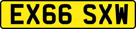 EX66SXW