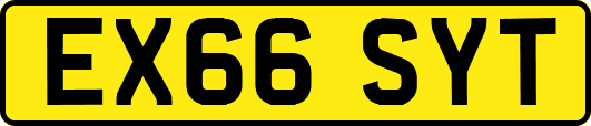 EX66SYT