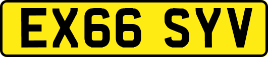 EX66SYV