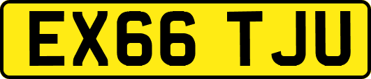 EX66TJU