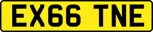 EX66TNE