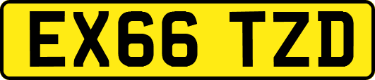 EX66TZD