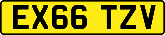 EX66TZV