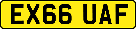 EX66UAF