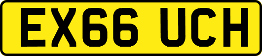 EX66UCH