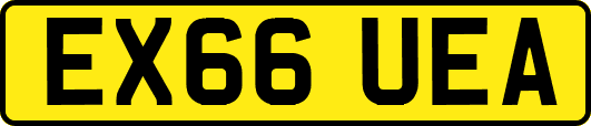 EX66UEA