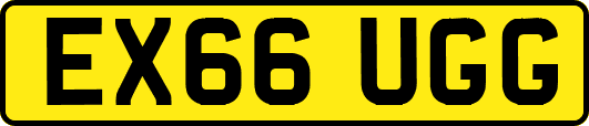 EX66UGG