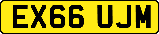 EX66UJM