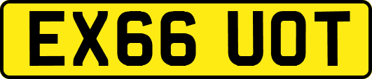 EX66UOT