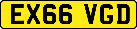 EX66VGD