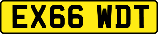 EX66WDT