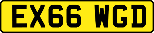 EX66WGD