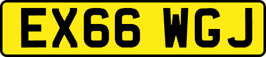 EX66WGJ