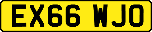 EX66WJO