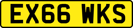 EX66WKS