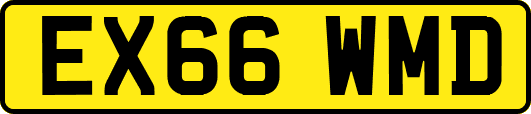 EX66WMD