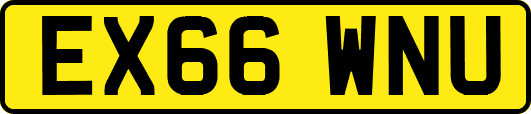 EX66WNU