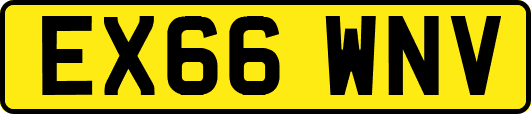 EX66WNV