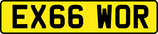 EX66WOR