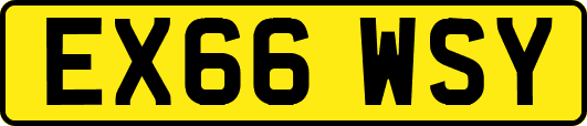 EX66WSY