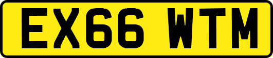 EX66WTM