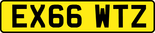 EX66WTZ