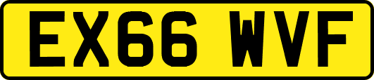 EX66WVF