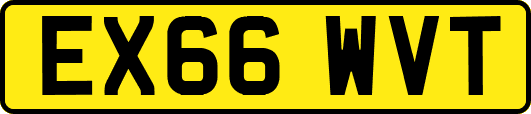 EX66WVT