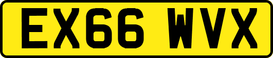 EX66WVX