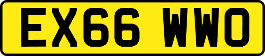 EX66WWO