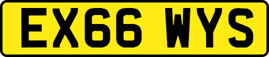 EX66WYS