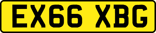 EX66XBG