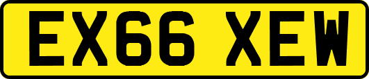 EX66XEW