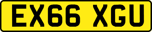 EX66XGU