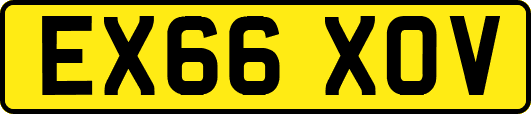 EX66XOV