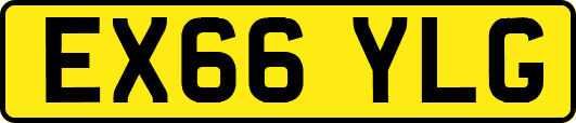 EX66YLG