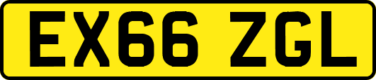 EX66ZGL