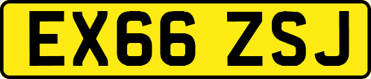 EX66ZSJ