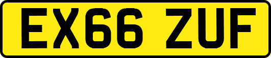 EX66ZUF