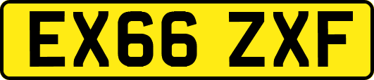 EX66ZXF