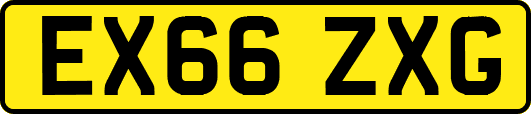 EX66ZXG