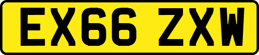 EX66ZXW