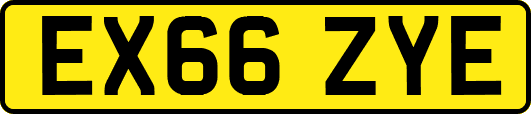 EX66ZYE