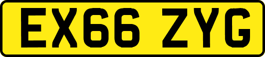 EX66ZYG