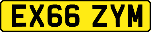 EX66ZYM