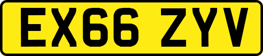 EX66ZYV