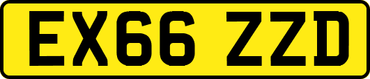 EX66ZZD