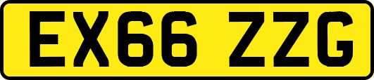 EX66ZZG