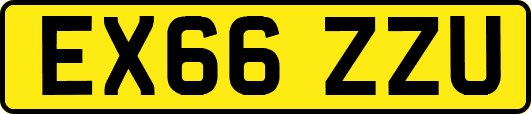 EX66ZZU